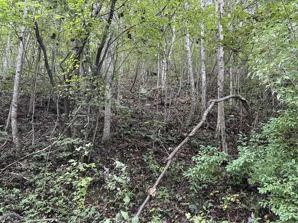 LOT 383 E Obey Ln, Wilder, TN 38589