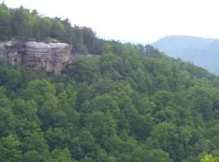 LOT 65 Panther Falls Rd, Wilder, TN 38589