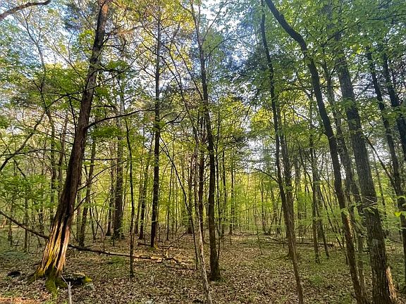 2nd image of 0 County Road 55