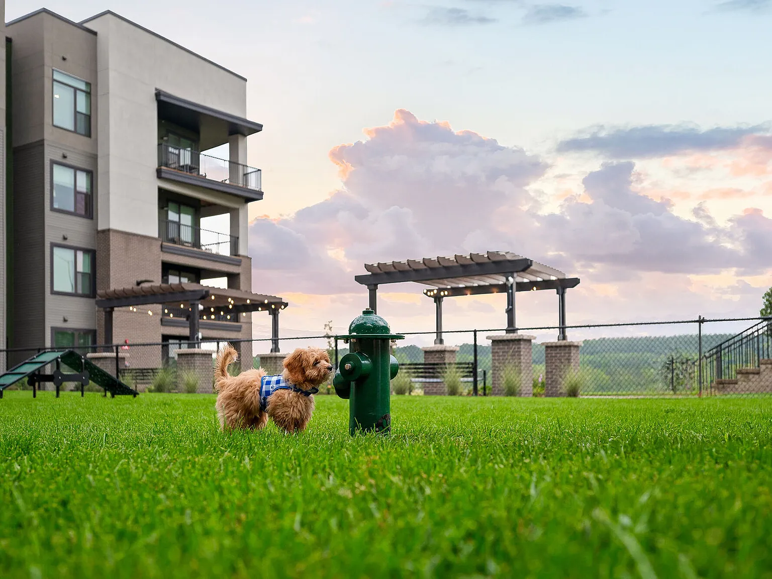 ALTO Apartments of Lenexa — Photo 4