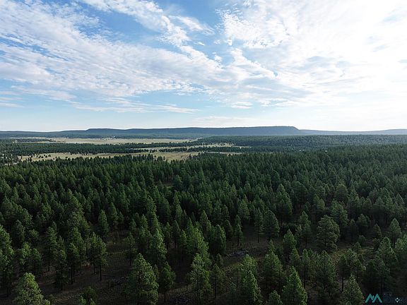3rd image of Forest Rd #157