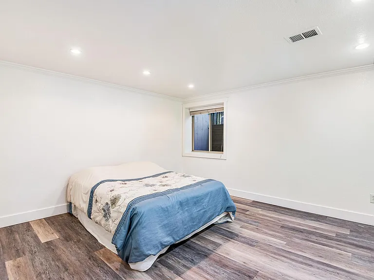 Lower level bedroom