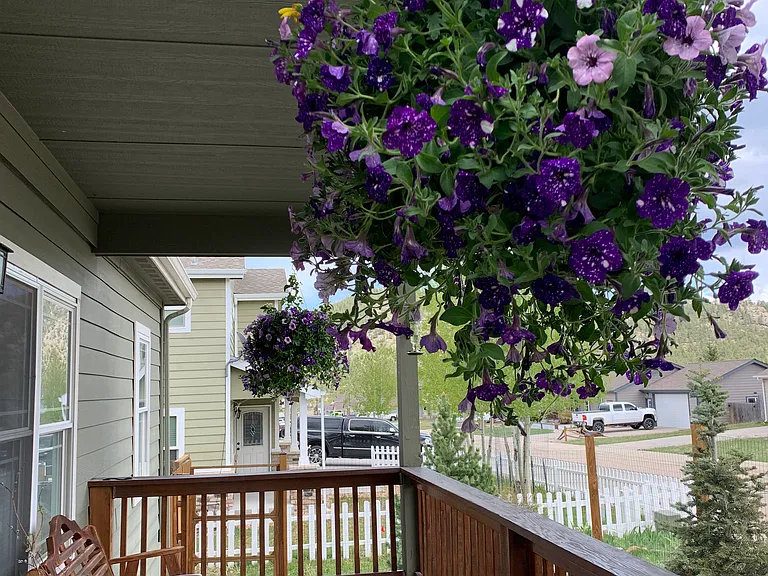 1655 Gray Hawk Ct — Photo 2