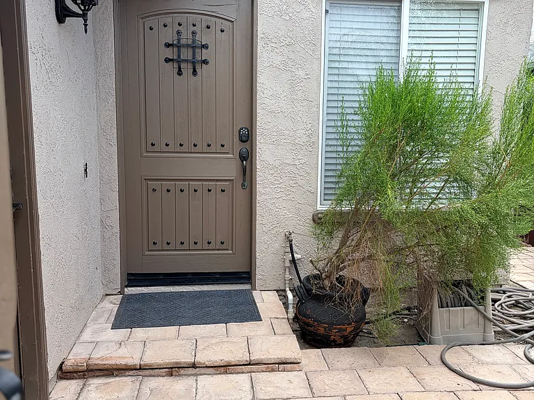 27331 Pinavete — Photo 3