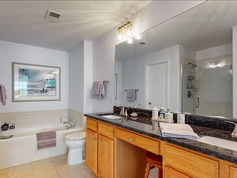 Main bath (double sink, shower bathtub)