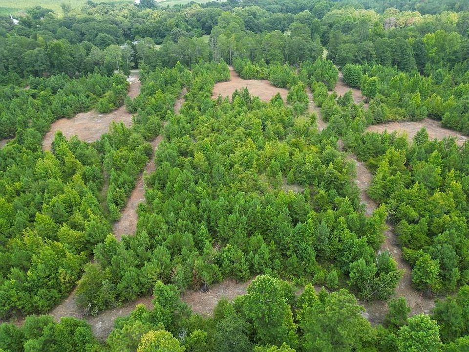 1st image of 3 County Road 1174