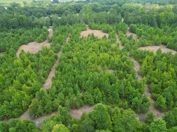 3 County Road 1174, Goshen, AL 36035