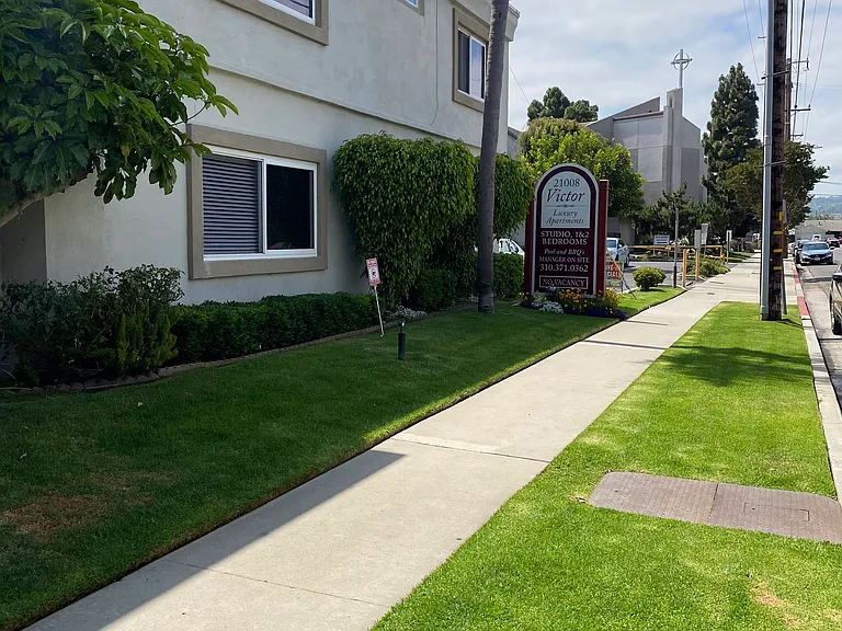 Victor — Photo 8