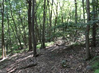LOT 319 Ridge Run Rd, Claysburg, PA 16625