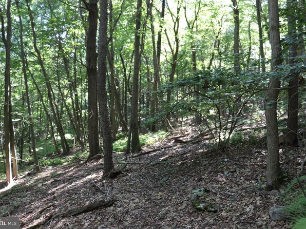 LOT 319 Ridge Run Rd, Claysburg, PA 16625
