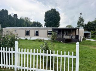 9133 W Southview St, Minerva, OH 44657