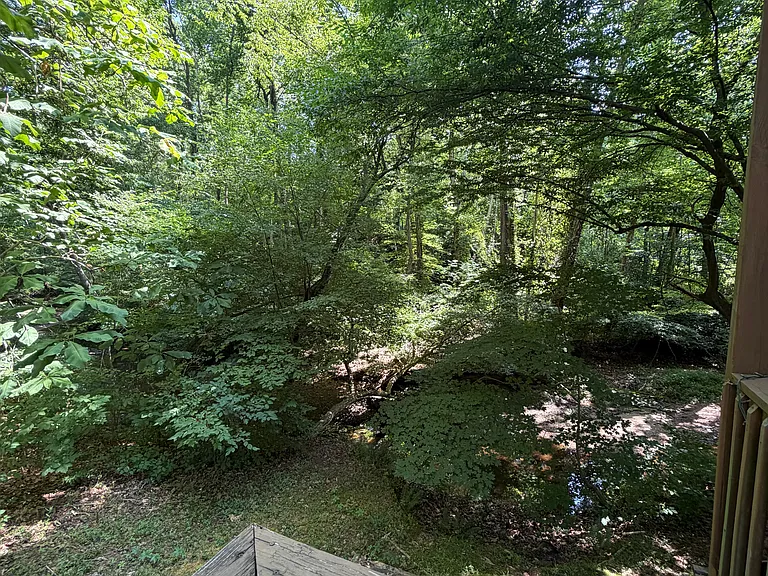 6166 Loch Laural Ln — Photo 85