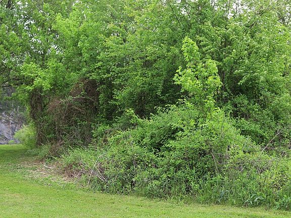 5th image of 0 Lazy River Ln Lot 41
