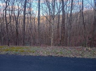 LOT 163 Trailwood Dr, Ellijay, GA 30536