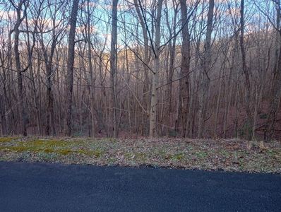 LOT 163 Trailwood Dr, Ellijay, GA, 30536