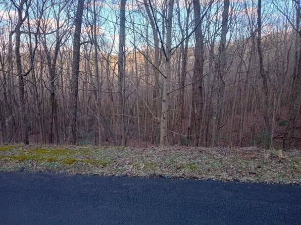 LOT 163 Trailwood Dr, Ellijay, GA 30536