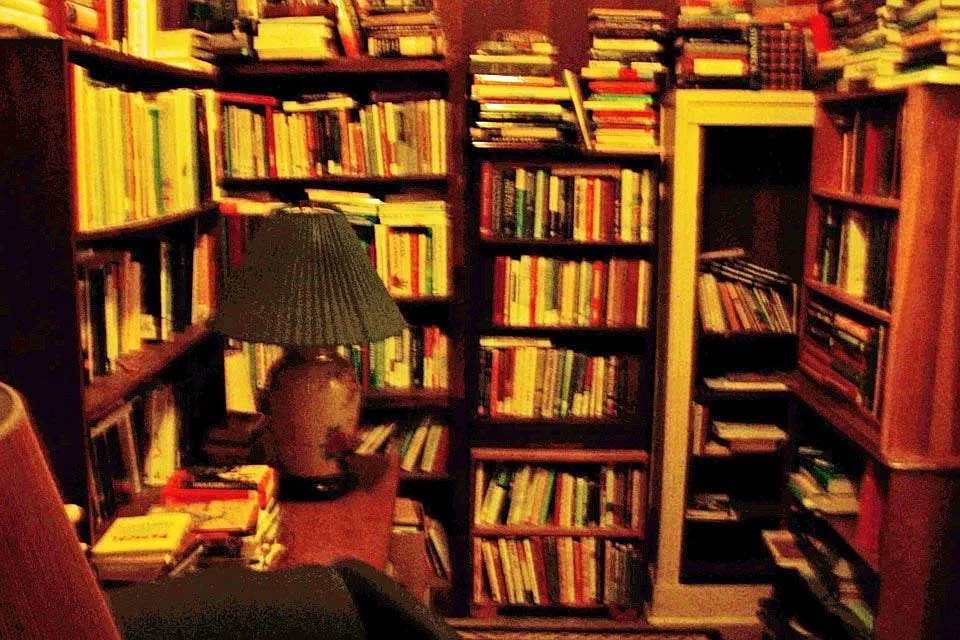 Studio, 300 sqft, $650 — Photo 3
