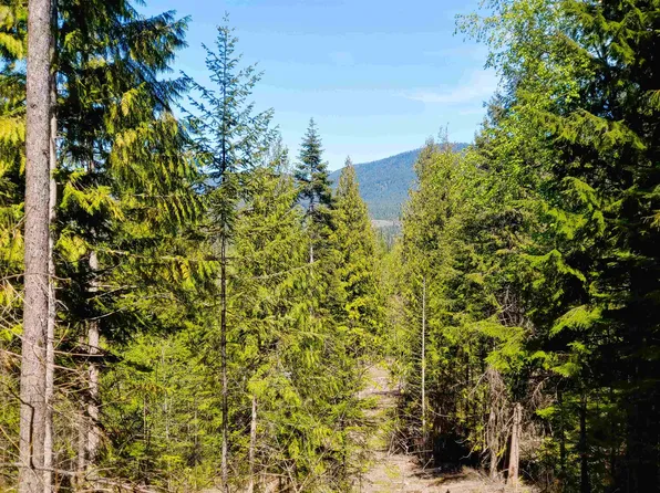 27 Governors Way, Athol, ID 83801