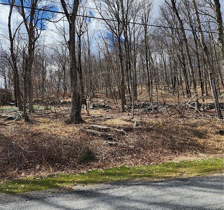 1st image of Ponderosa Road