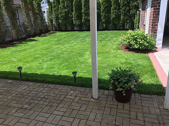 Nice back yard