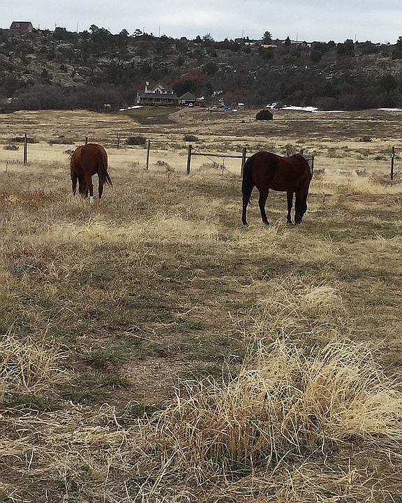 On property facing south