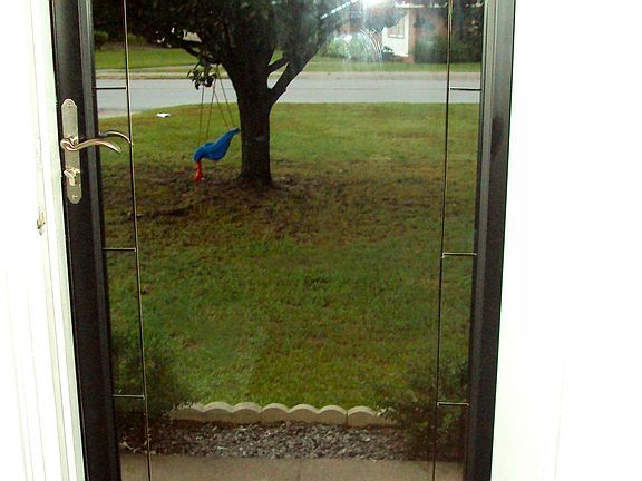 Storm Door Looking out Front