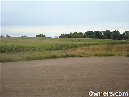View out the Back Patio