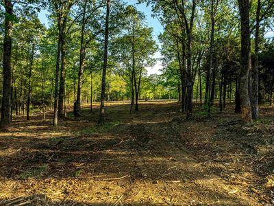 0 Nelsonville Rd, Poughkeepsie, AR, 72569