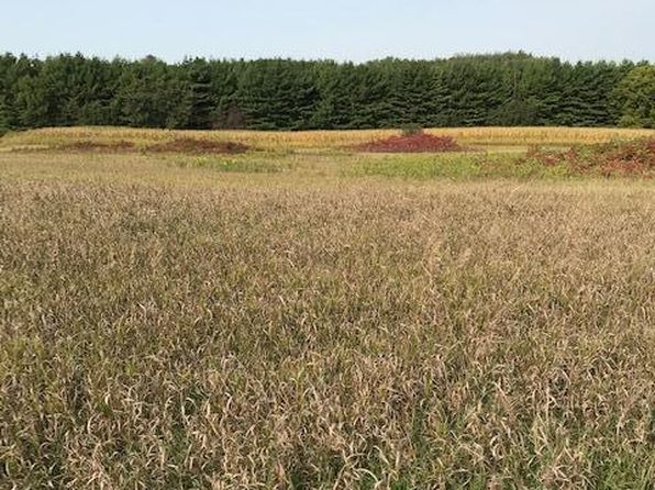 Pine Bluff Rd NW #SITE15, Pine Island, MN 55963