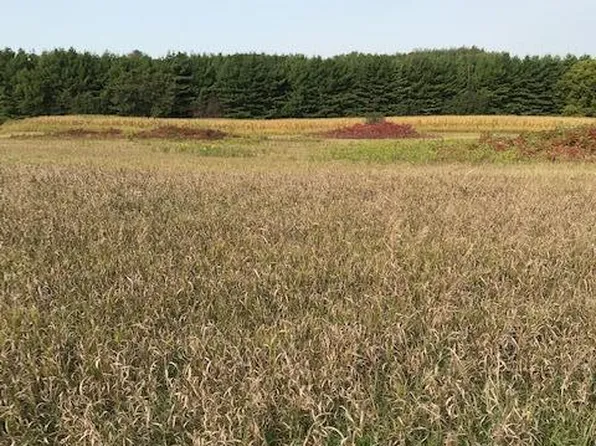 Pine Bluff Site15 Rd NW, Pine Island, MN 55963