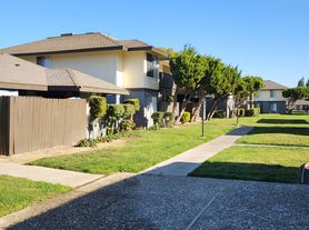 Pine Meadows Apartments