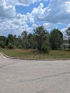 1120 N Cherry St, Evart, MI, 49631