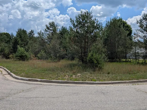 1120 N Cherry St, Evart, MI 49631