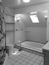 Bathroom with jacuzzi, skylight, and shower