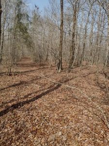 0 2nd Dr LOT 146, Altamont, TN, 37301