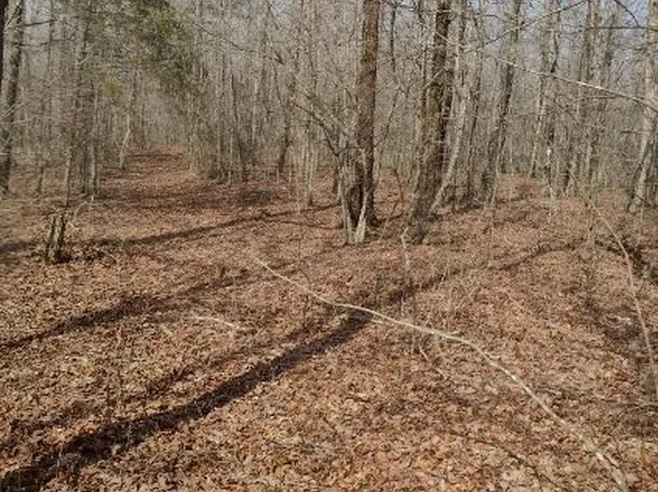 0 2nd Dr Lot 146, Altamont, TN 37301