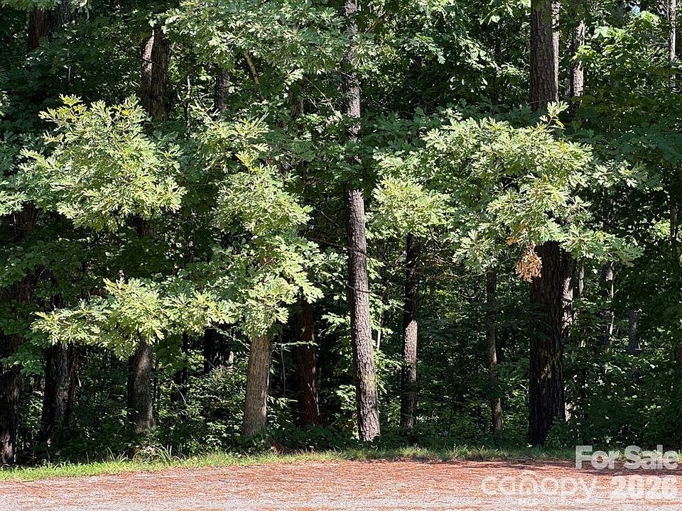 2nd image of 32 Miners Creek Dr