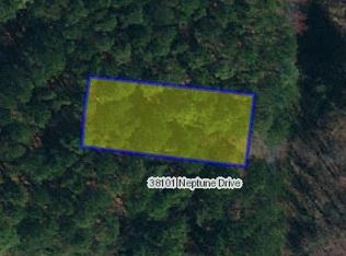 164 Neptune Ct, Greenbackville, VA 23356