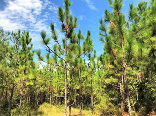 0 Rabbit Rd, Brent, AL 35034