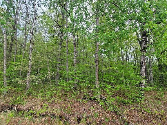 2nd image of LOT 10 County Road A