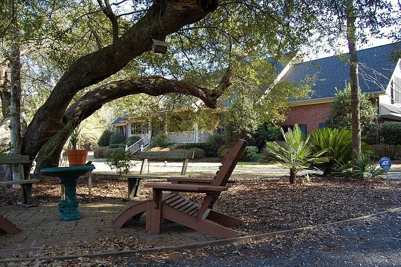 Gorgeous Oaks