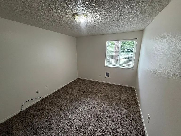 The Firs Apartments — Photo 40