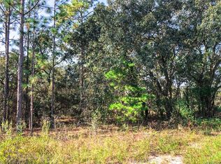 1 Black Willow St, Homosassa, FL 34446
