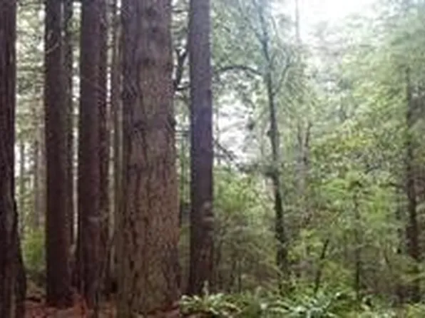 3860 Albion Ridge East Rd S, Albion, CA 95410