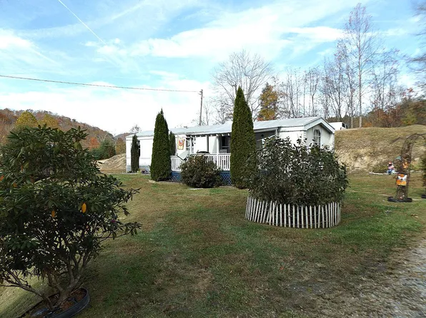 7233 Highway 19e, Roan Mountain, TN 37687