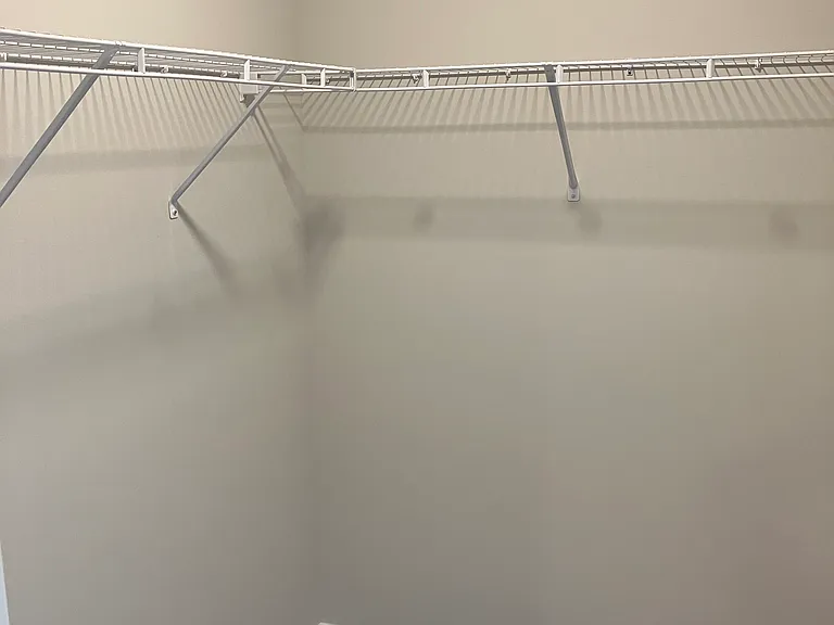 Primary bedroom closet