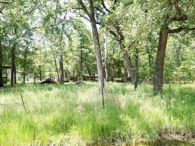 6136 Apache Dr, Mabank, TX, 75156