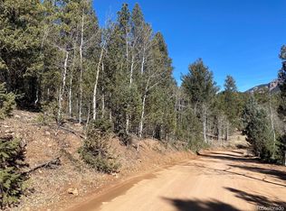 12373 S Polly Drive, Pine, CO 80470