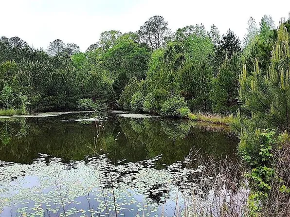 2519 Mount Carmel Rd, Newnan, GA 30263