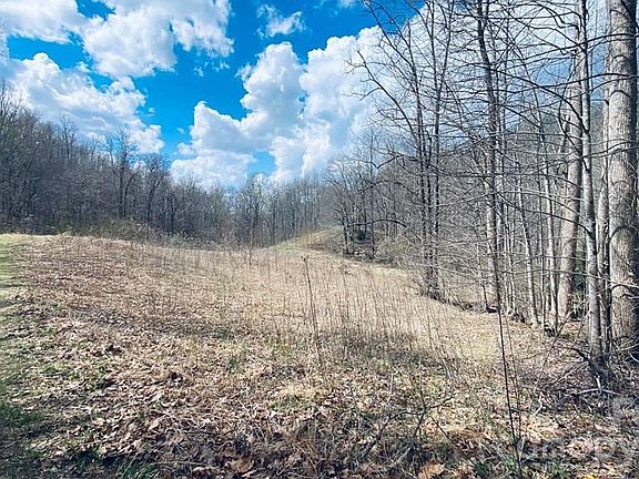 3rd image of 5 Brasstown Rd